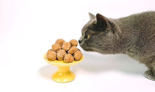 training treats for cats and kittens