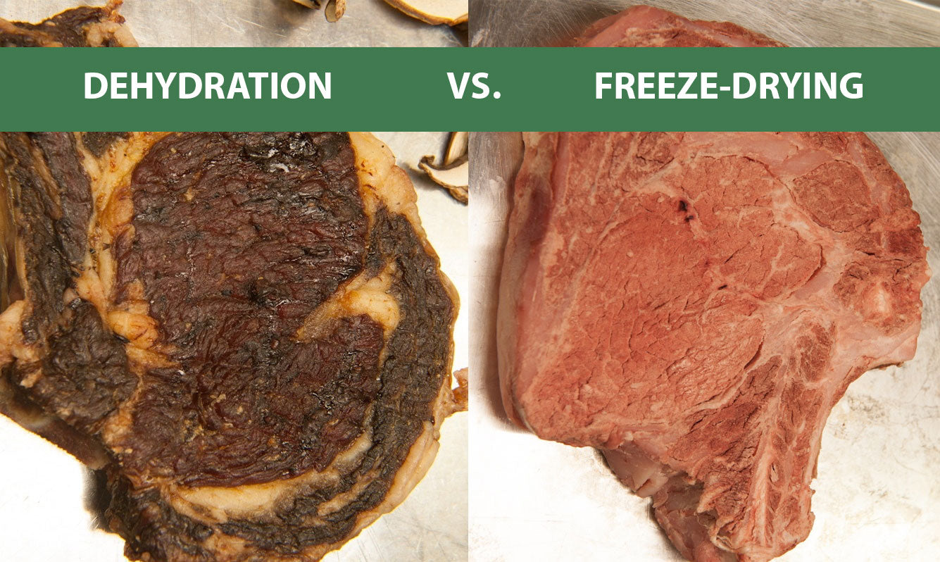 Freeze Dried Vs Dehydrated  What's the Difference Between Freeze