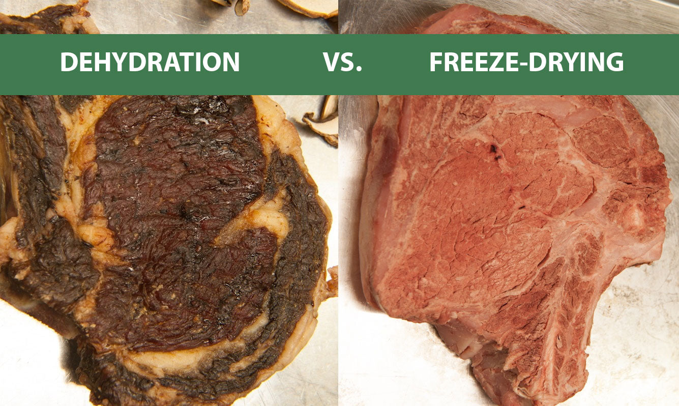 Dehydration VS. Freeze Drying