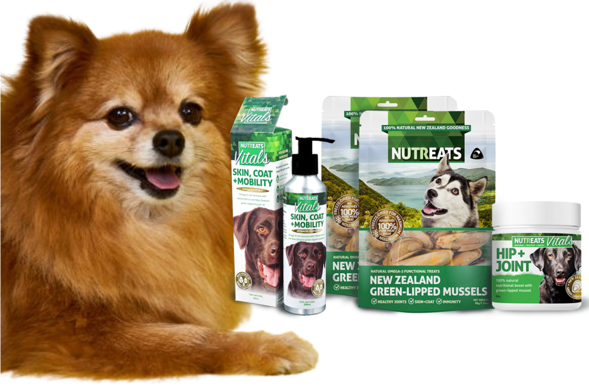 Understanding Dog Supplements: Their Purpose and Benefits