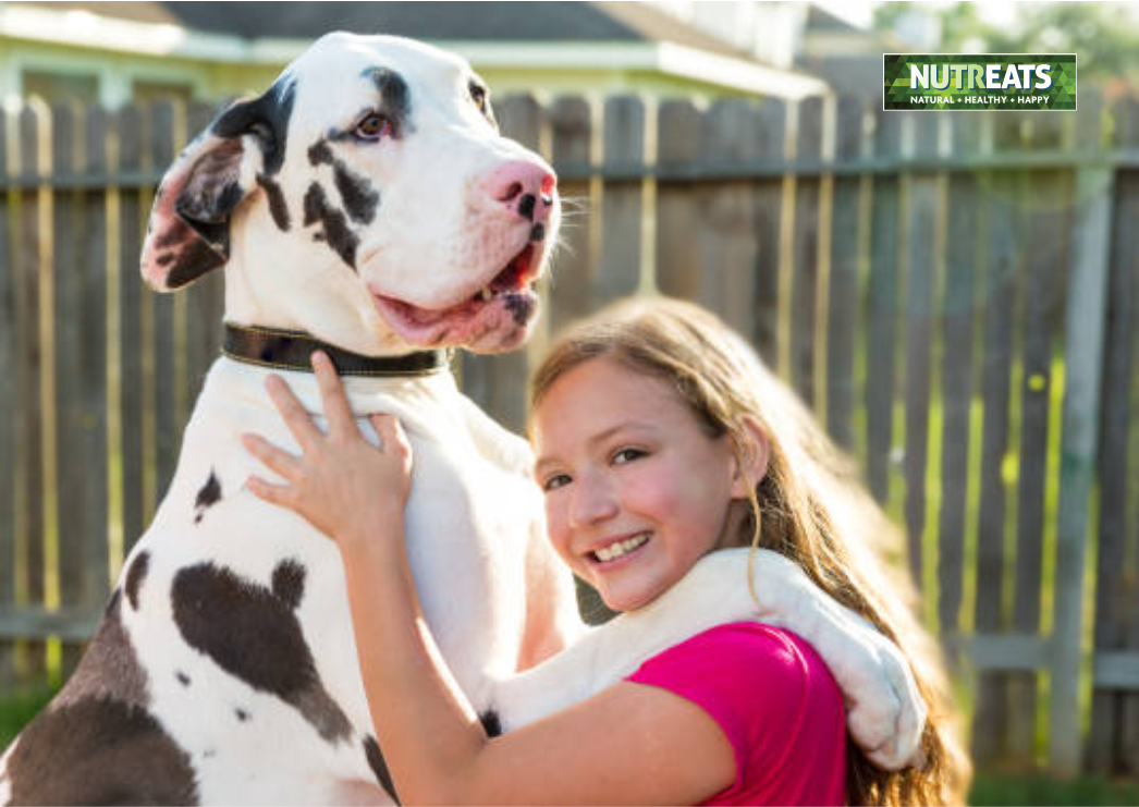 Joint Growth Stages in Big Breed Dogs