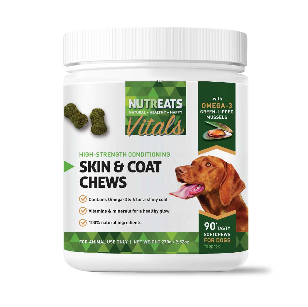 Advanced Skin and Coat Support Chews - a blend of natural ingredients, including Turmeric, to support the maintenance of a healthy coat and skin.