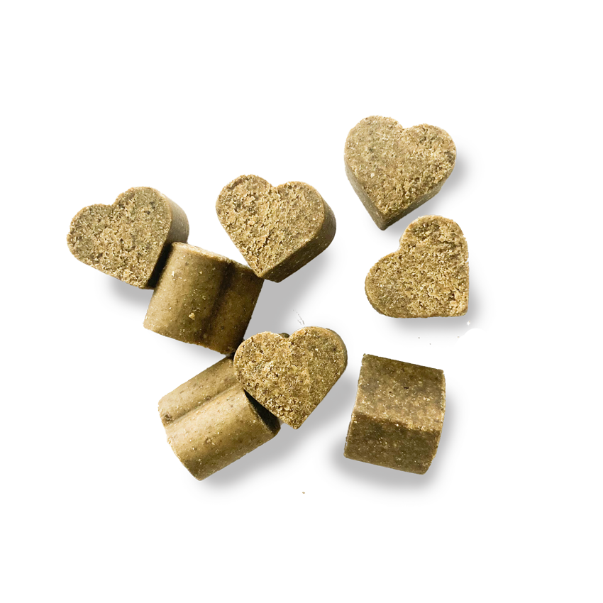 Heart shaped nutritional soft chews for dogs. Nuteats multivitamin soft chews for dogs - supporting healthy immunity, healthy skin coat and nails. Supports overall wellness and immunity in dogs. Wellness and vitality support. 