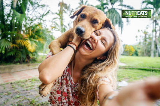 How Dog Treats Can Enhance Your Relationship with Your Pet