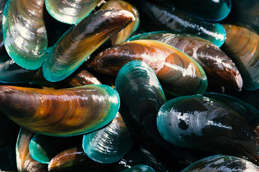 green lipped mussel for dogs