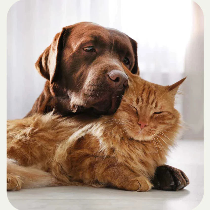 100% natural product range for Dogs and Cats