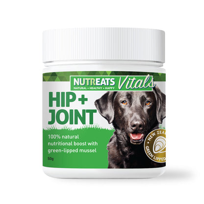 Nutreats Vitals Hip & Joint powder for dogs - supplement supporting healthy joints and mobility in dogs. 100% natural supplement with green-lipped mussel powder rich in Omega-3