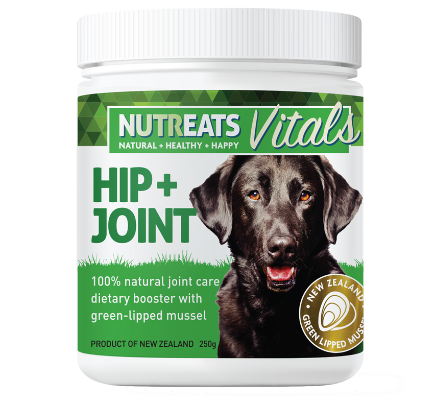 Best Natural joint health support for dogs