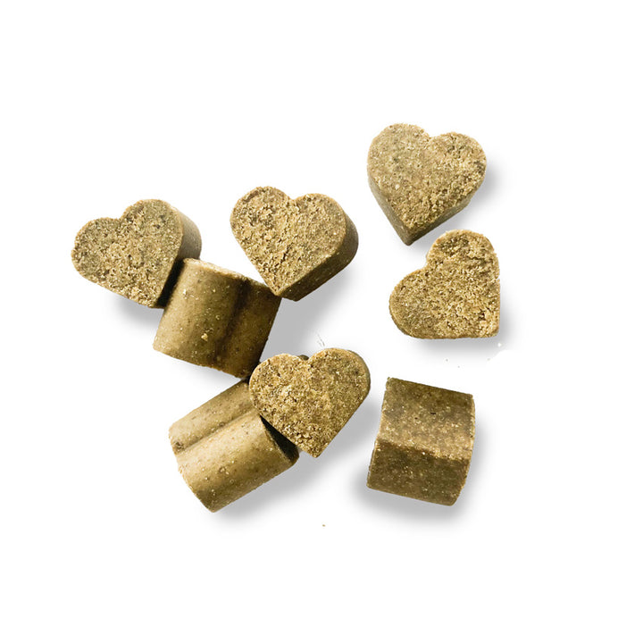 Probiotic Soft Chews for Dogs