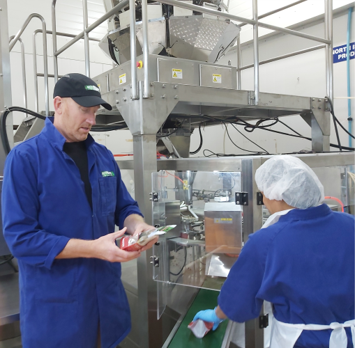 The Fascinating History of Dog Treats Nutreats NZ