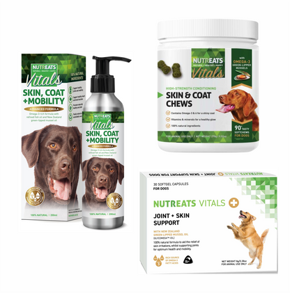 Skin and Coat Health bundle for Dogs
